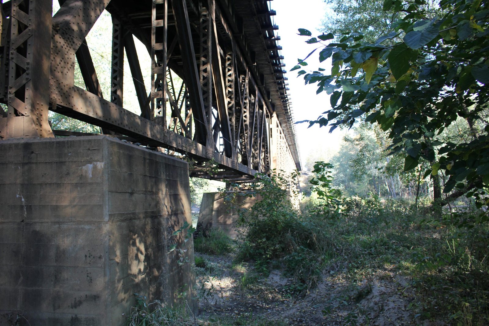 Looking east